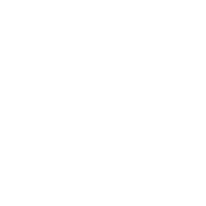 carolina ale house logo